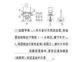初中生物新人教版七年级下册期末项目式学习作业课件2025春