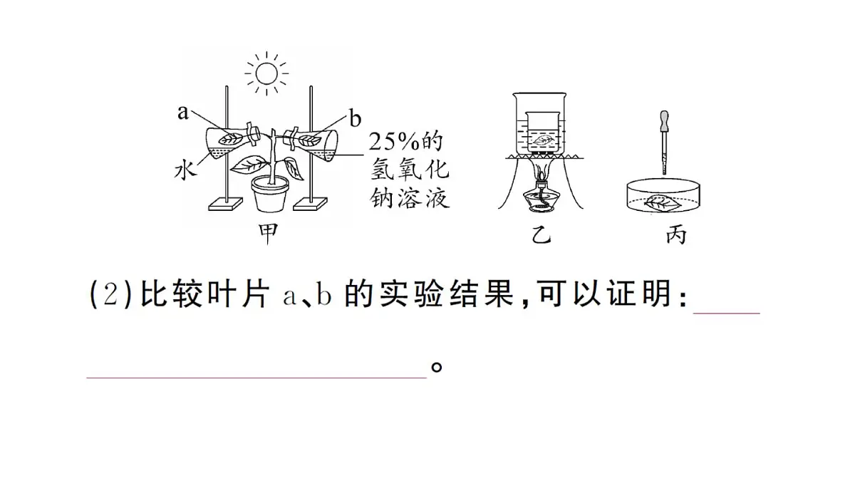 初中生物新人教版七年级下册期末项目式学习作业课件2025春第4页