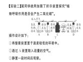 初中生物新人教版七年级下册期末项目式学习作业课件2025春