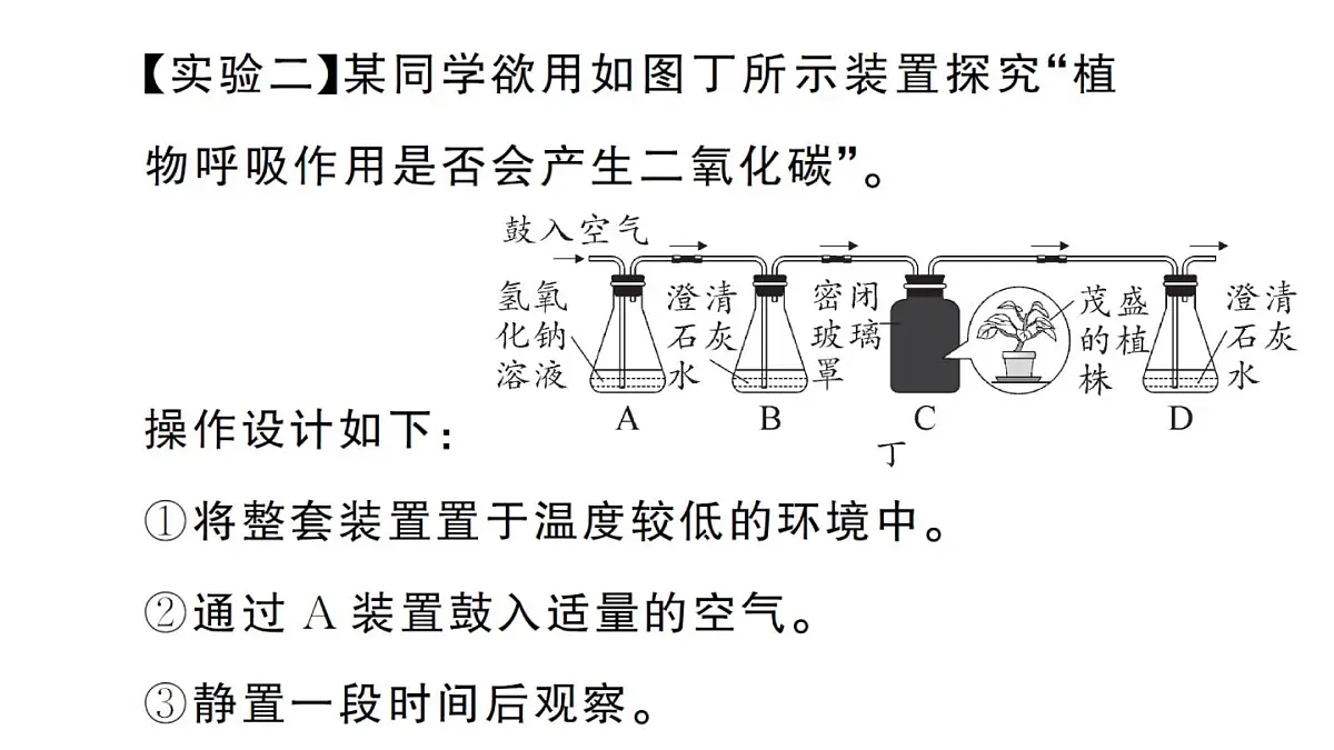 初中生物新人教版七年级下册期末项目式学习作业课件2025春第5页