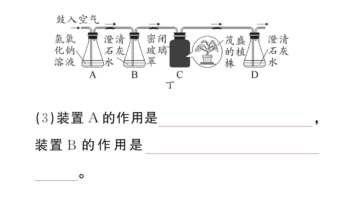 初中生物新人教版七年级下册期末项目式学习作业课件2025春第6页