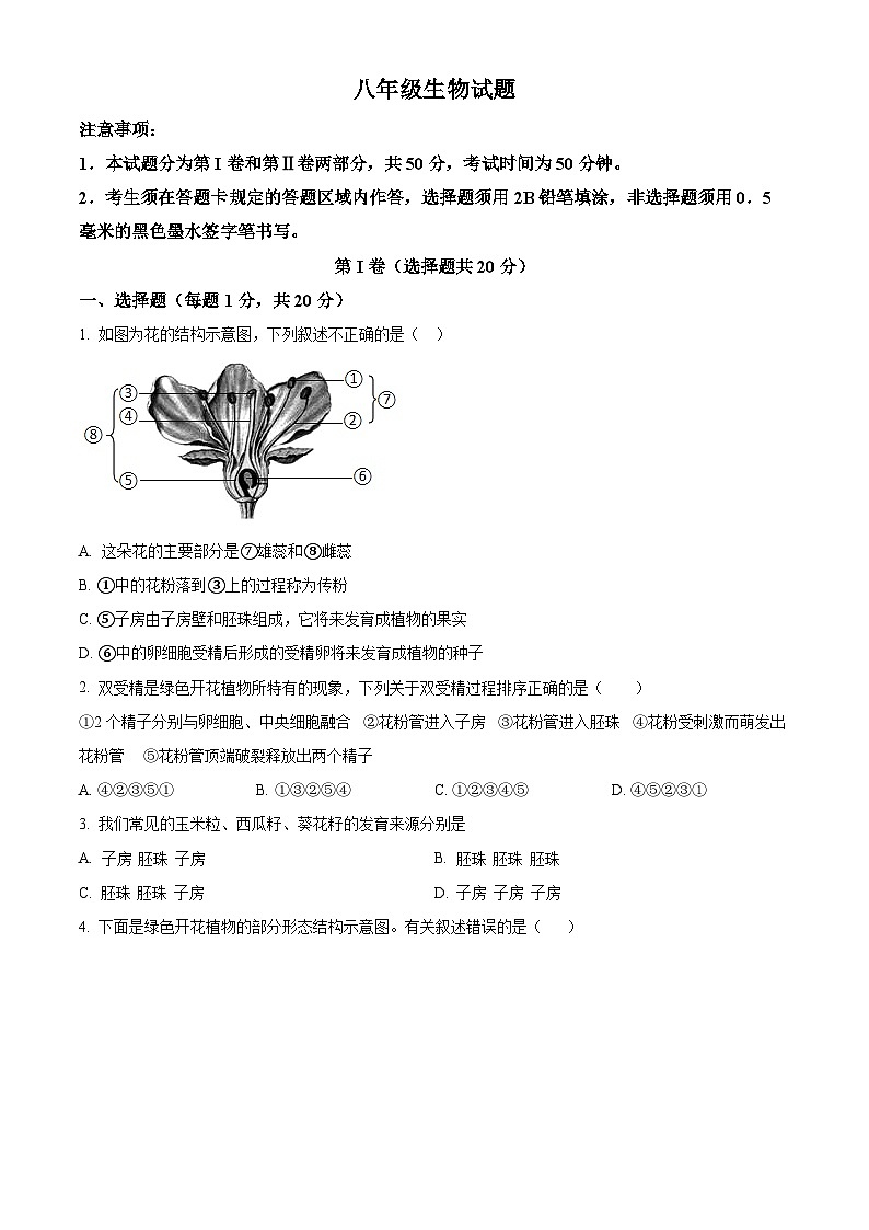 山东省菏泽市牡丹区2024-2025学年八年级上学期期末生物试题（原卷版+解析版）第1页