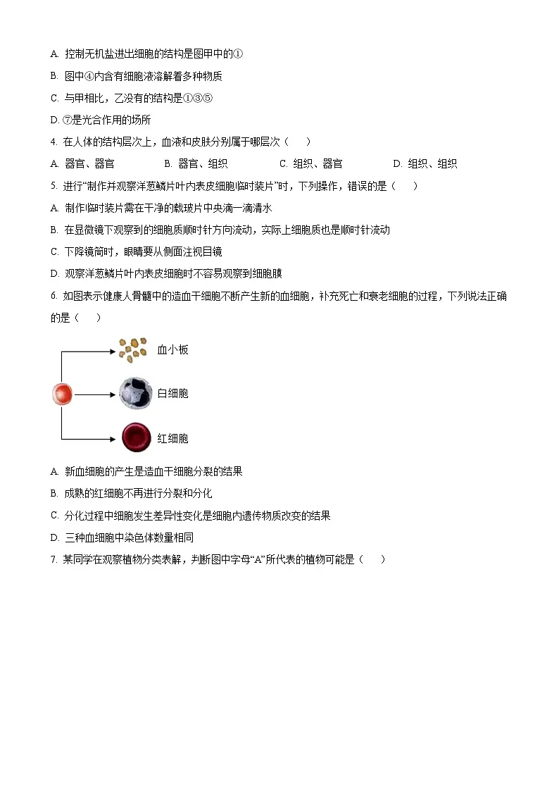 山东省菏泽市牡丹区2024-2025学年九年级上学期期末生物试题（原卷版+解析版）第2页