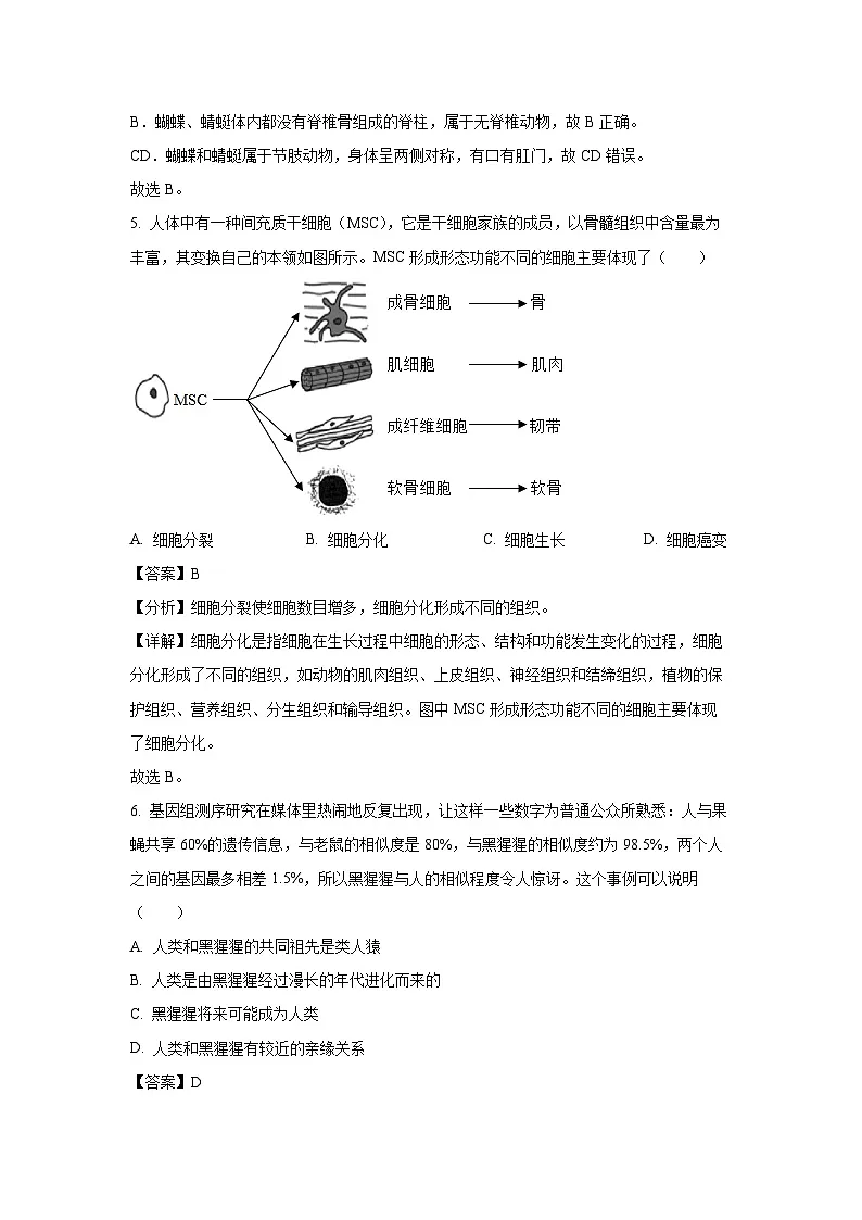 2024年广西柳州市初中学业水平考试模拟卷（二）生物试卷（解析版）第3页