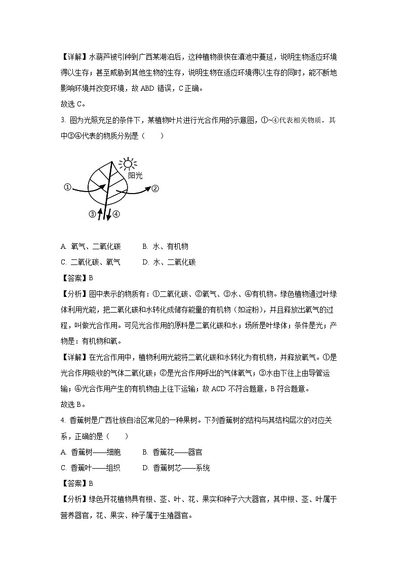 2024年广西柳州市初中学业水平模拟考试生物试卷（解析版）第2页