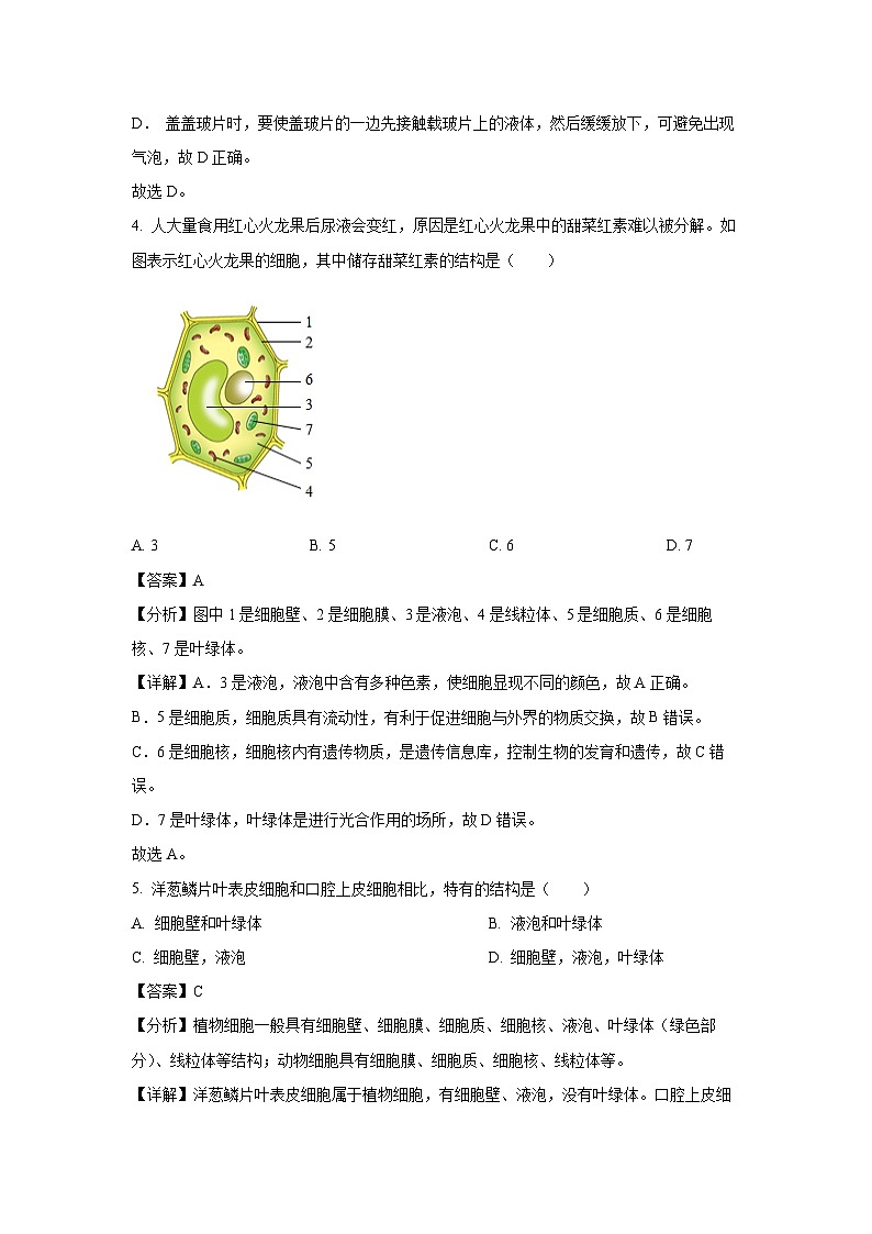 2024~2025学年四川省绵阳市安州区七年级上学期期末生物试卷（解析版）第3页