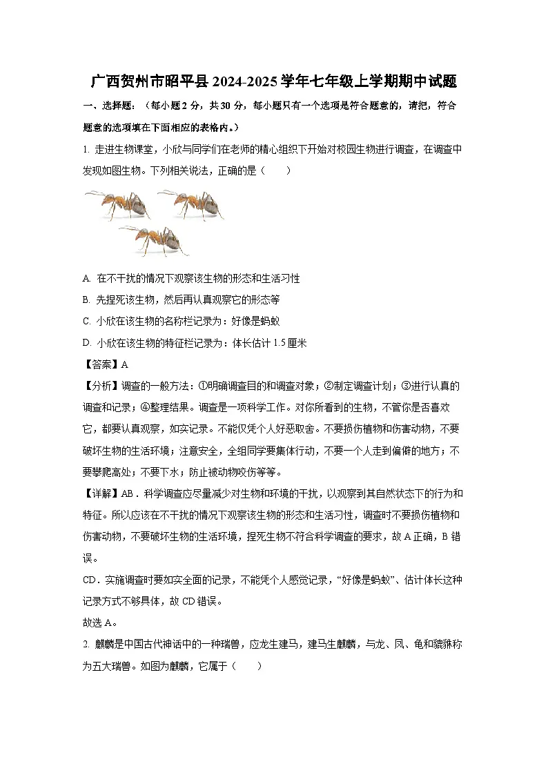 2024~2025学年广西贺州市昭平县七年级上学期期中生物试卷（解析版）第1页