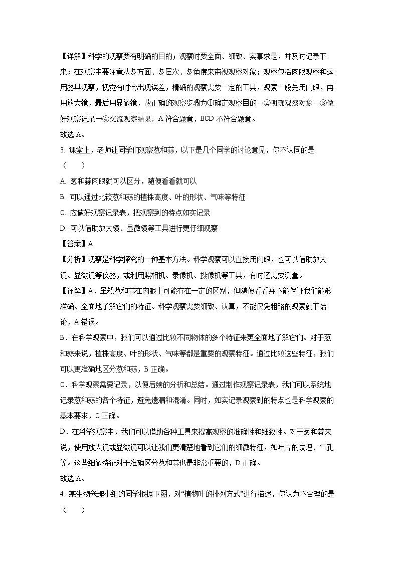 2024~2025学年广西贺州市平桂区七年级上学期期中生物试卷（解析版）第2页