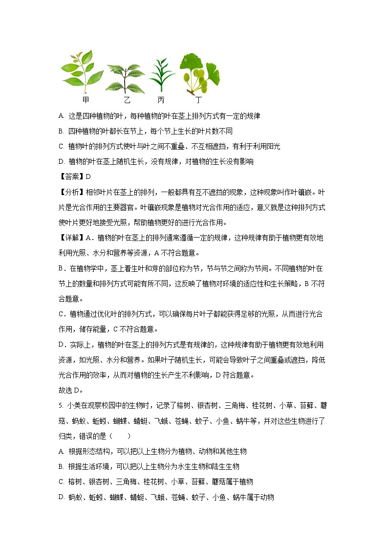 2024~2025学年广西贺州市平桂区七年级上学期期中生物试卷（解析版）第3页