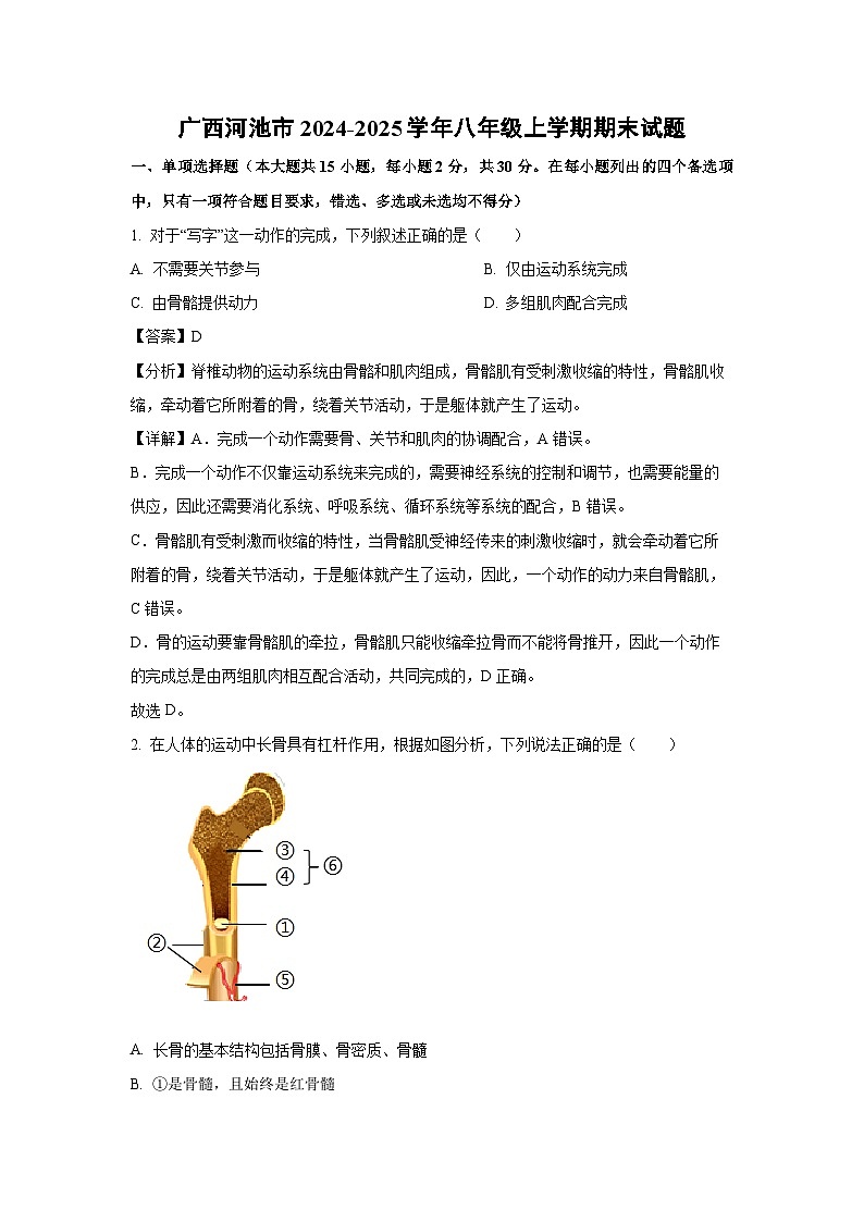 2024~2025学年广西河池市八年级上学期期末生物试卷（解析版）第1页