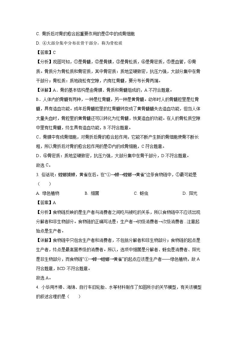 2024~2025学年广西河池市八年级上学期期末生物试卷（解析版）第2页