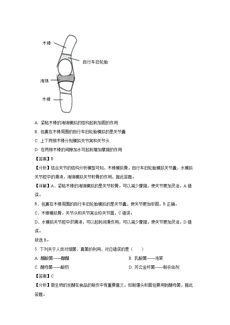 2024~2025学年广西河池市八年级上学期期末生物试卷（解析版）第3页