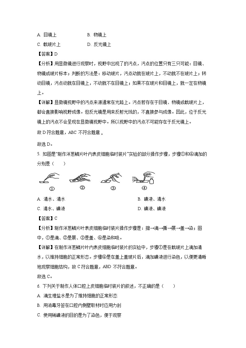 2024~2025学年广西桂林市龙胜县七年级上学期期中生物试卷（解析版）第3页