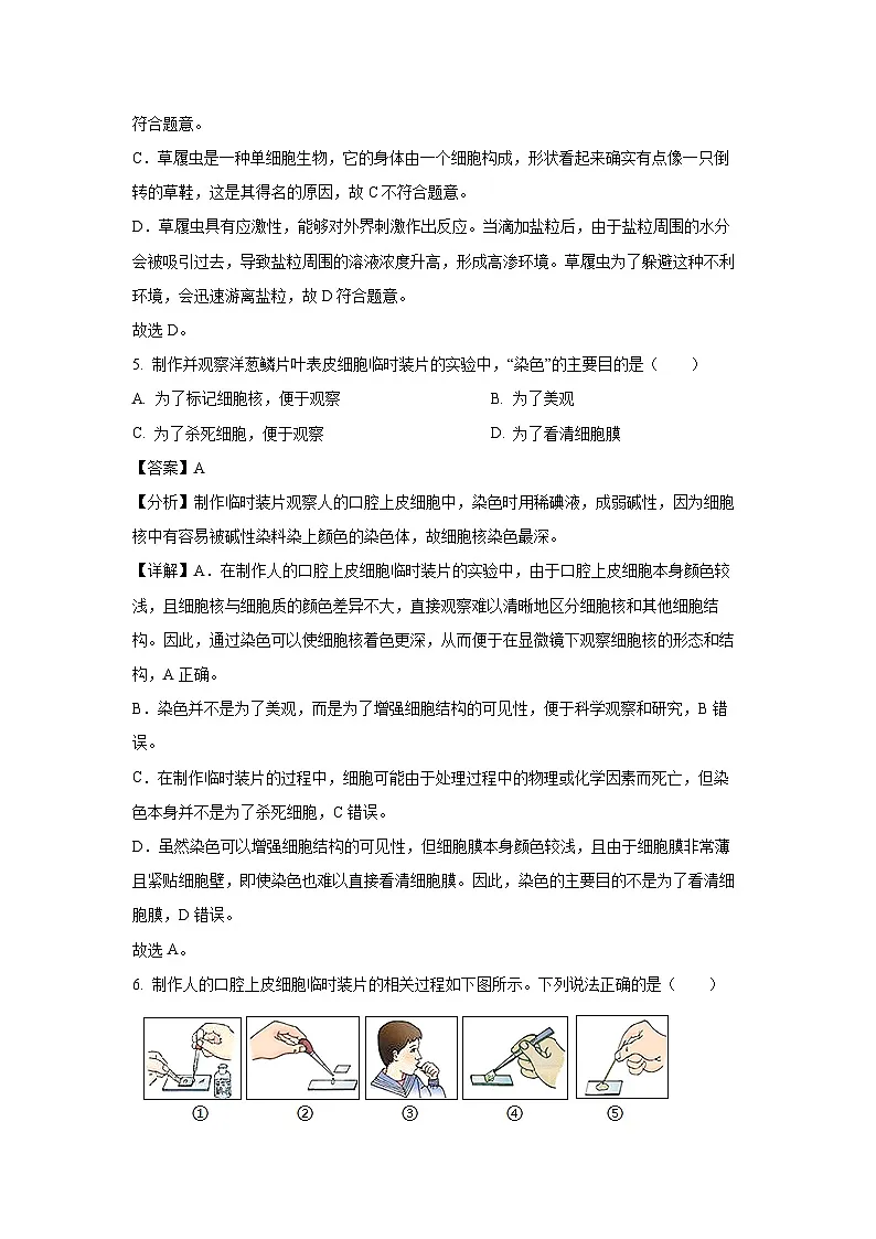 2024~2025学年广西来宾市兴宾区七年级上学期期中生物试卷（解析版）第3页