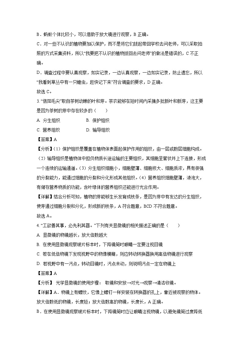 2024~2025学年广西南宁市第十四中学七年级上12月月考生物试卷（解析版）第2页