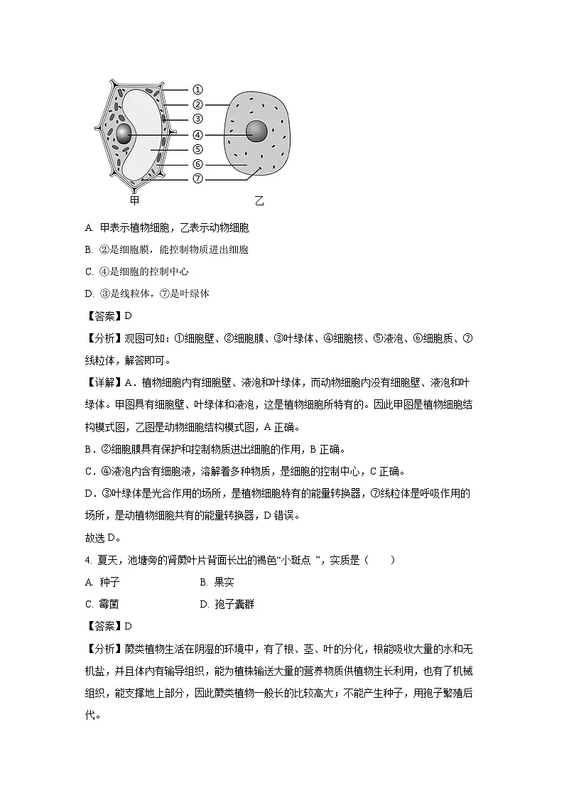 2024~2025学年广西南宁市第八中学七年级上12月月考生物试卷（解析版）第2页