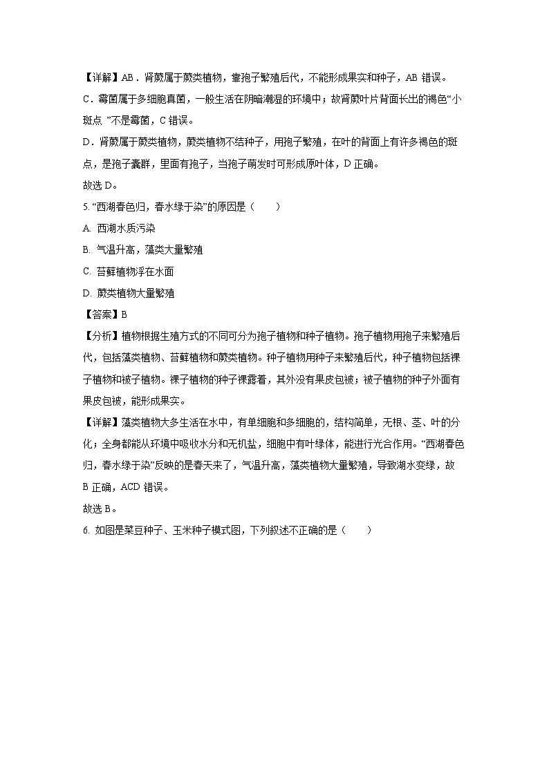 2024~2025学年广西南宁市第八中学七年级上12月月考生物试卷（解析版）第3页