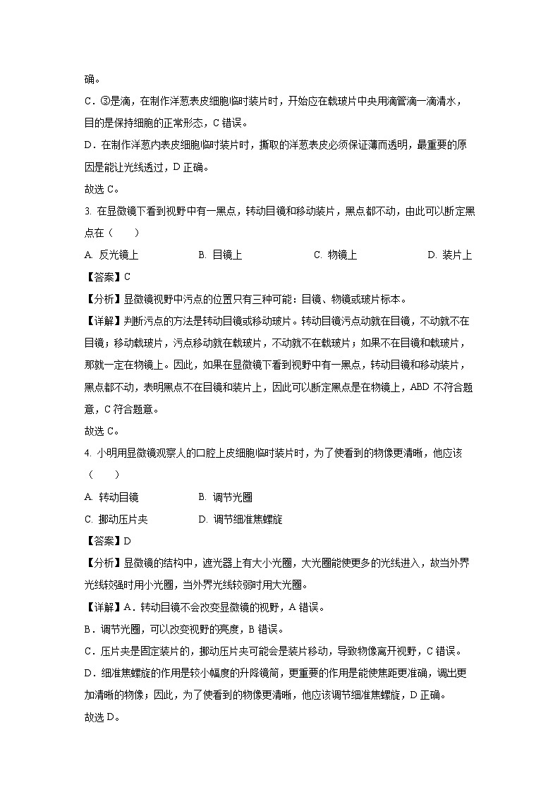 2024~2025学年广西南宁市第二中学七年级上学期10月月考生物试卷（解析版）第2页