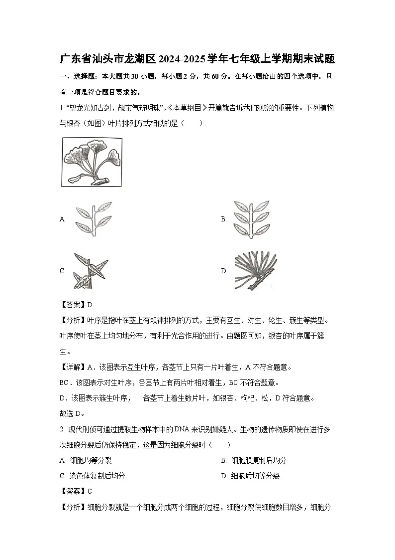 2024~2025学年广东省汕头市龙湖区七年级上学期期末生物试卷（解析版）第1页