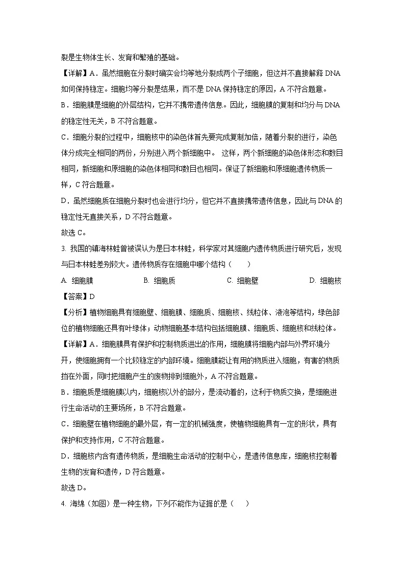 2024~2025学年广东省汕头市龙湖区七年级上学期期末生物试卷（解析版）第2页