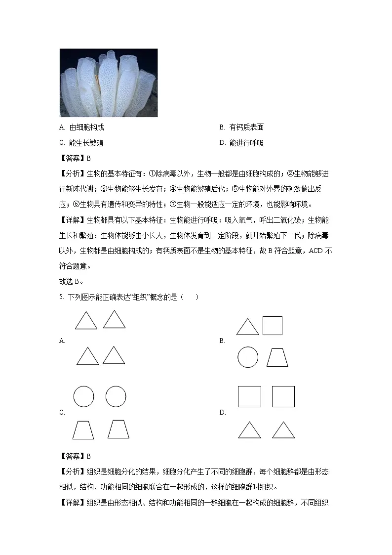 2024~2025学年广东省汕头市龙湖区七年级上学期期末生物试卷（解析版）第3页