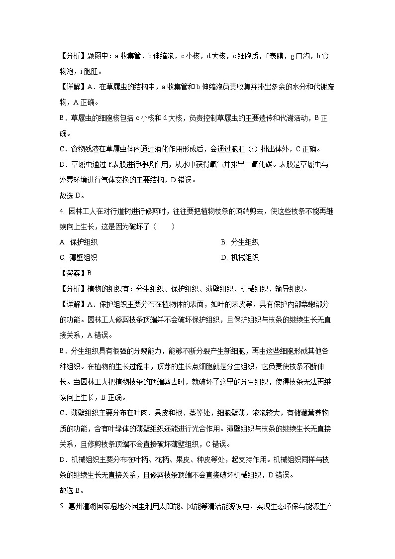 2024~2025学年广东省惠州市惠城区七年级上学期期末生物试卷（解析版）第3页