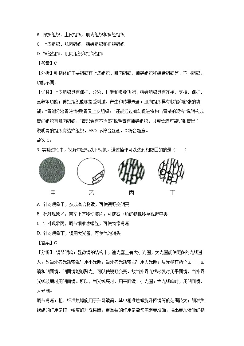2024~2025学年山西省晋中市寿阳县七年级上学期期末生物试卷（解析版）第2页