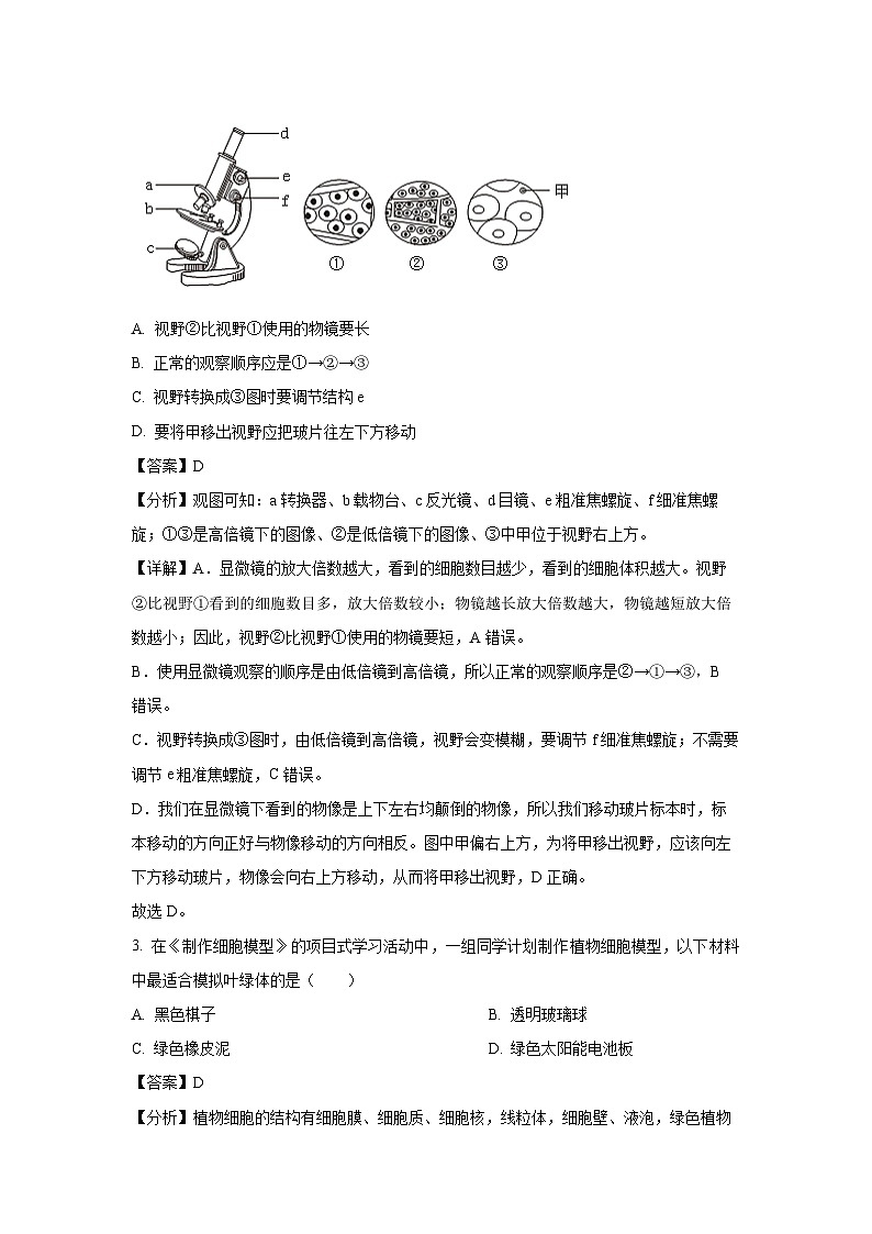 2024~2025学年山西省晋中市介休市七年级上学期期末生物试卷（解析版）第2页