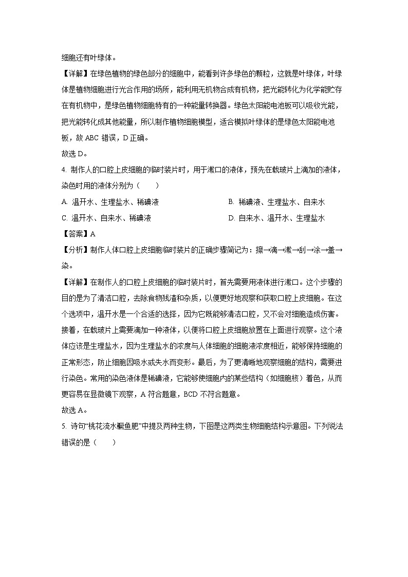 2024~2025学年山西省晋中市介休市七年级上学期期末生物试卷（解析版）第3页