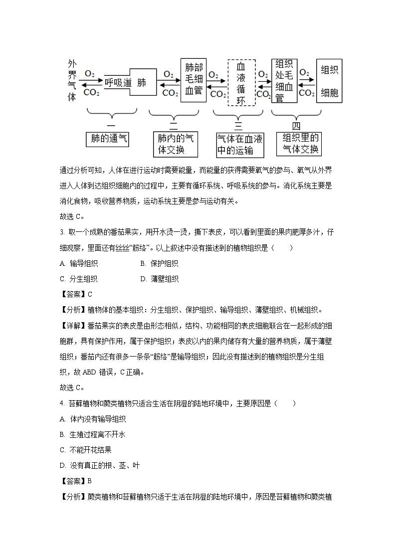2024~2025学年山西省忻州地区七年级上学期期末生物试卷（解析版）第2页