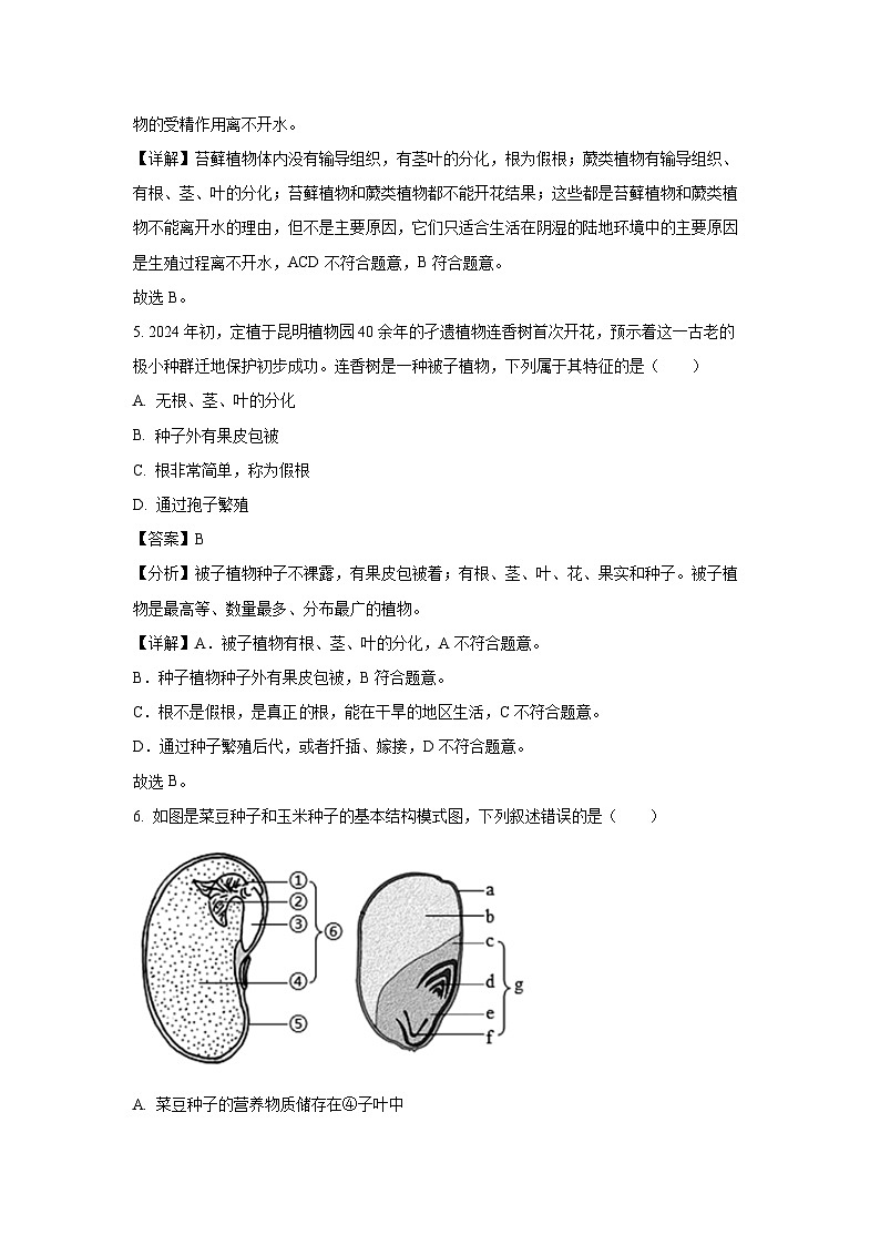 2024~2025学年山西省忻州地区七年级上学期期末生物试卷（解析版）第3页