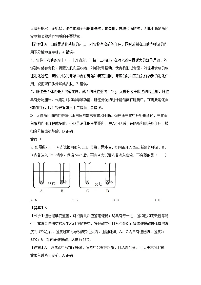 2024~2025学年山东省烟台市经济技术开发区七年级上学期期末生物试卷（解析版）第3页