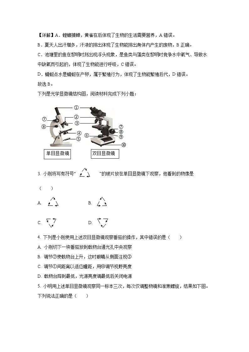 2024~2025学年山东省青岛市城阳区七年级上学期期末生物试卷（解析版）第2页