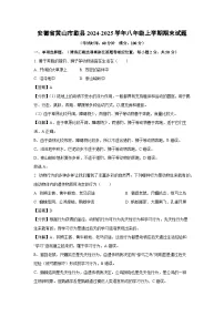 2024~2025学年安徽省黄山市歙县八年级上学期期末生物试卷（解析版）