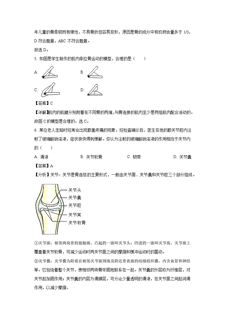 2024~2025学年安徽省黄山市歙县八年级上学期期末生物试卷（解析版）第3页