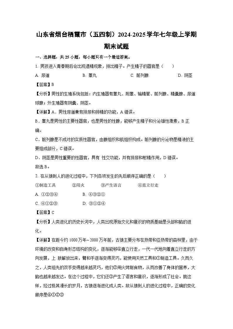 2024~2025学年山东省烟台栖霞市（五四制）七年级上学期期末生物试卷（解析版）第1页
