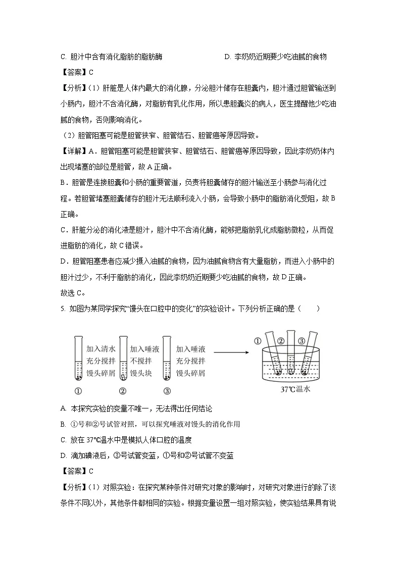 2024~2025学年山东省烟台招远市（五四制）七年级上学期期末生物试卷（解析版）第3页