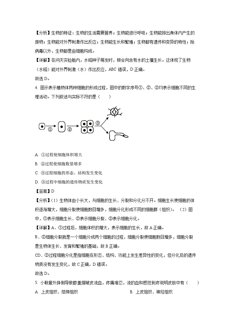 2024~2025学年山东省青岛市即墨区七年级上学期期末生物试卷（解析版）第2页