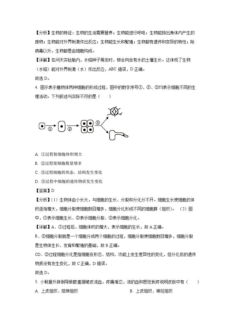 2024~2025学年山东省青岛市即墨区七年级上学期期末生物试卷（解析版）第2页