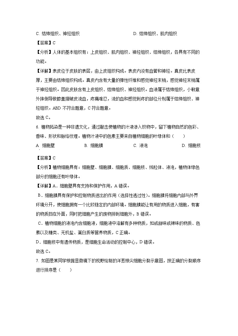 2024~2025学年山东省青岛市即墨区七年级上学期期末生物试卷（解析版）第3页