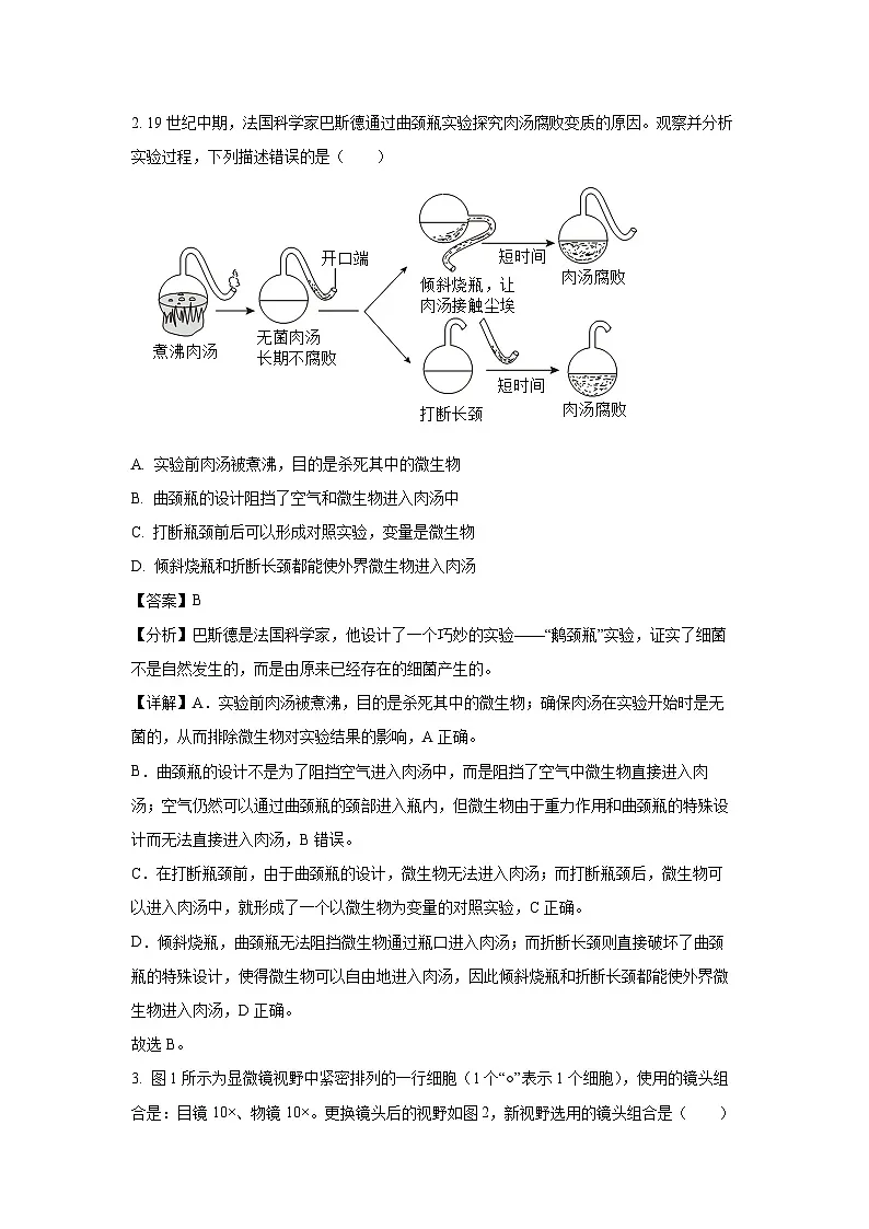2024~2025学年山东省潍坊市昌邑市七年级上学期期末生物试卷（解析版）第2页