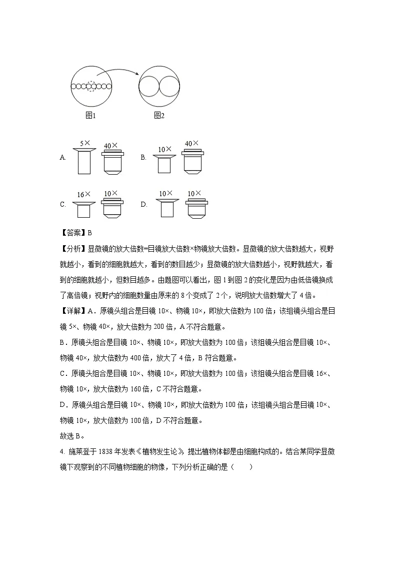 2024~2025学年山东省潍坊市昌邑市七年级上学期期末生物试卷（解析版）第3页