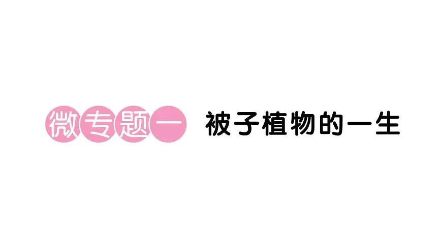 初中生物新人教版七年级下册第三单元第一章微专题一 被子植物的一生作业课件2025春第1页