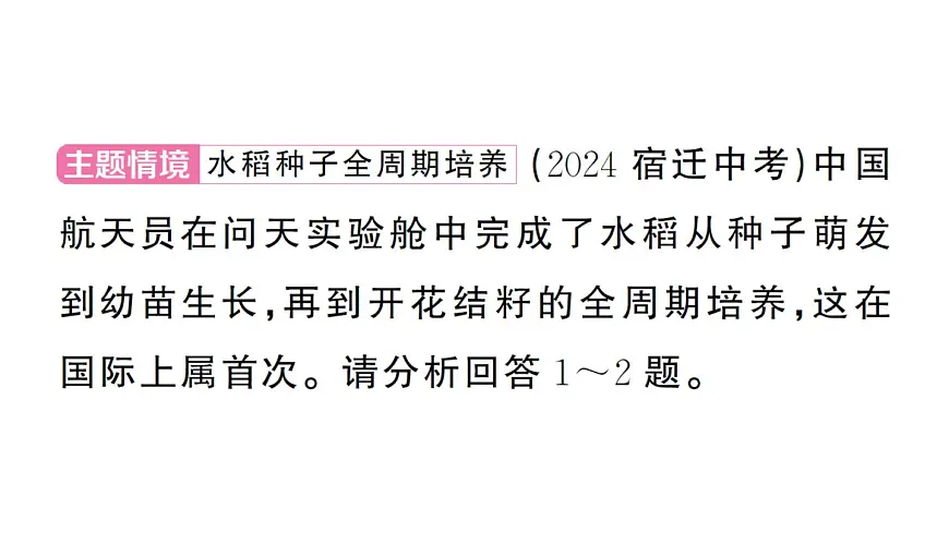 初中生物新人教版七年级下册第三单元第一章微专题一 被子植物的一生作业课件2025春第2页