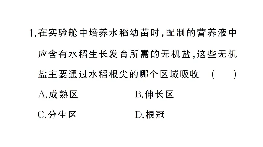 初中生物新人教版七年级下册第三单元第一章微专题一 被子植物的一生作业课件2025春第3页