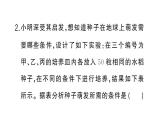 初中生物新人教版七年級下冊第三單元第一章微專題一 被子植物的一生作業(yè)課件2025春