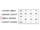 初中生物新人教版七年級下冊第三單元第一章微專題一 被子植物的一生作業(yè)課件2025春