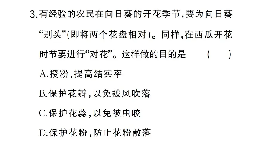 初中生物新人教版七年级下册第三单元第一章微专题一 被子植物的一生作业课件2025春第6页