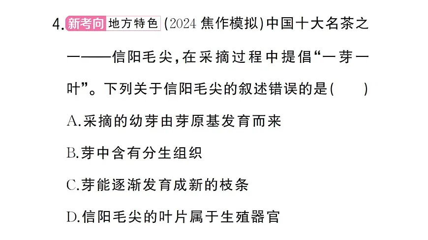 初中生物新人教版七年级下册第三单元第一章微专题一 被子植物的一生作业课件2025春第7页