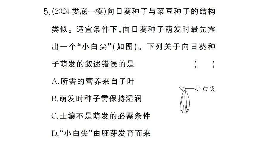 初中生物新人教版七年级下册第三单元第一章微专题一 被子植物的一生作业课件2025春第8页
